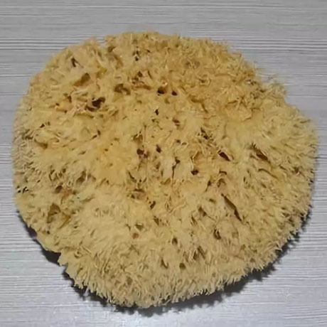 藝術漆工具-海藻綿